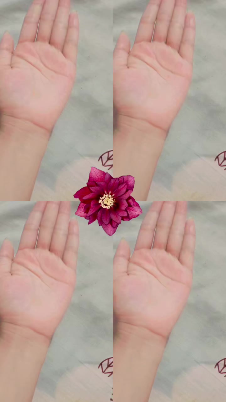 @Muskan Sarraf