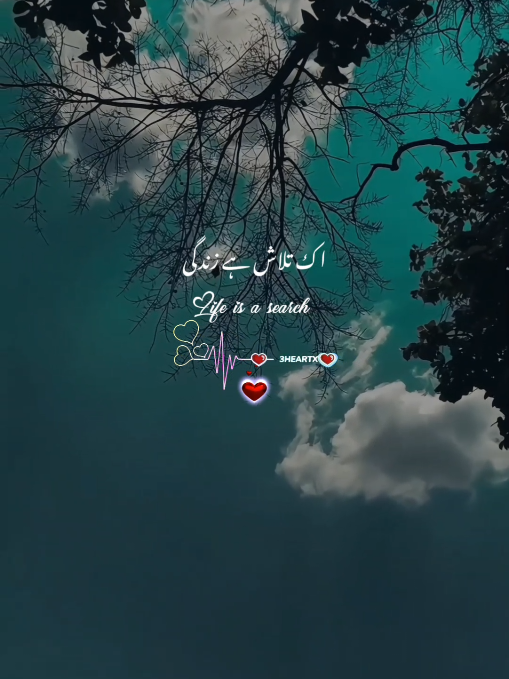 @ᥫ᭡³Hҽαɾƚx