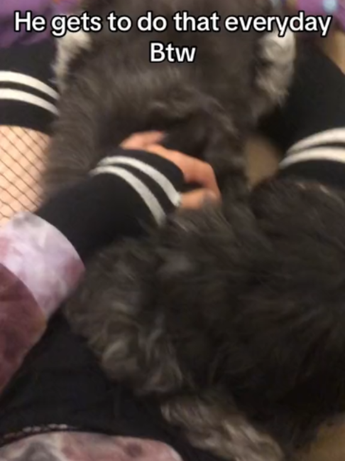 @joblo1242