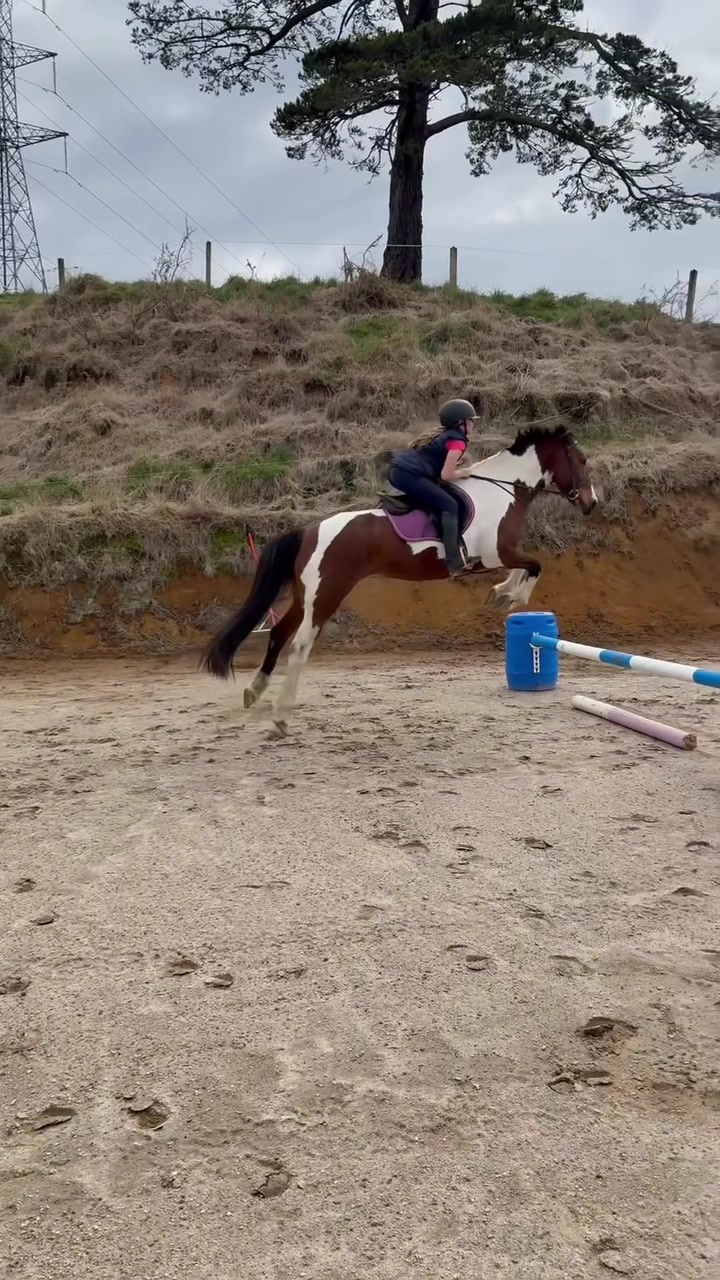 @rubi_andthe3iconicponies