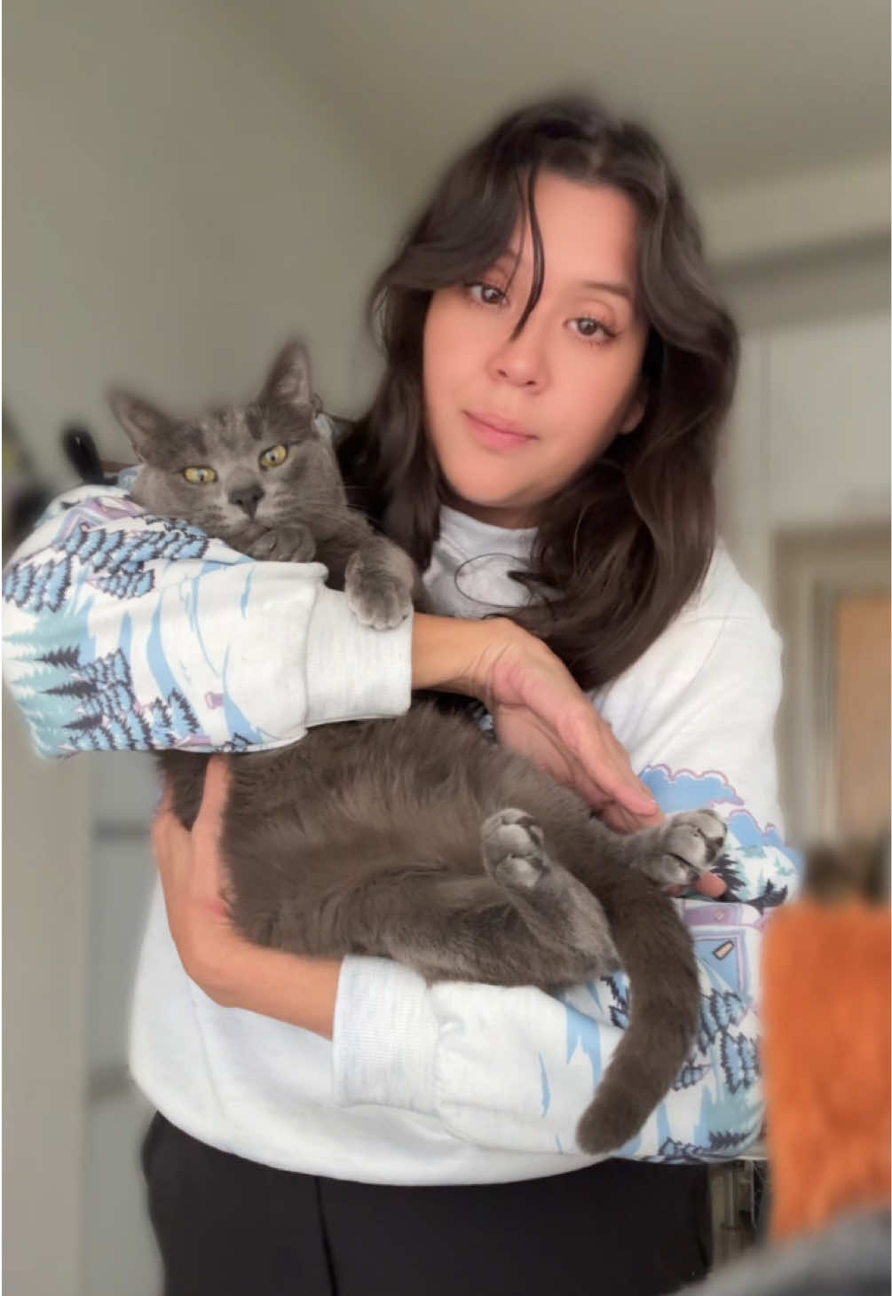 @Yori 🧸