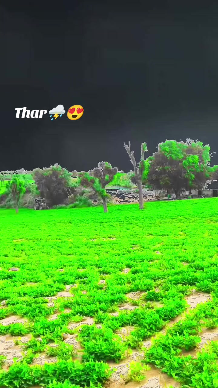 @๐ฅSindhi๐ญ