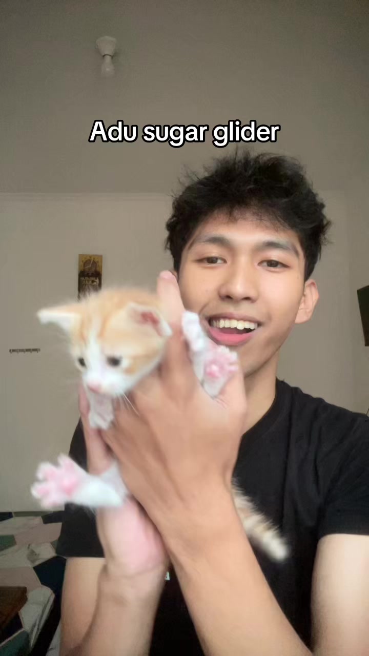 @Rafli
