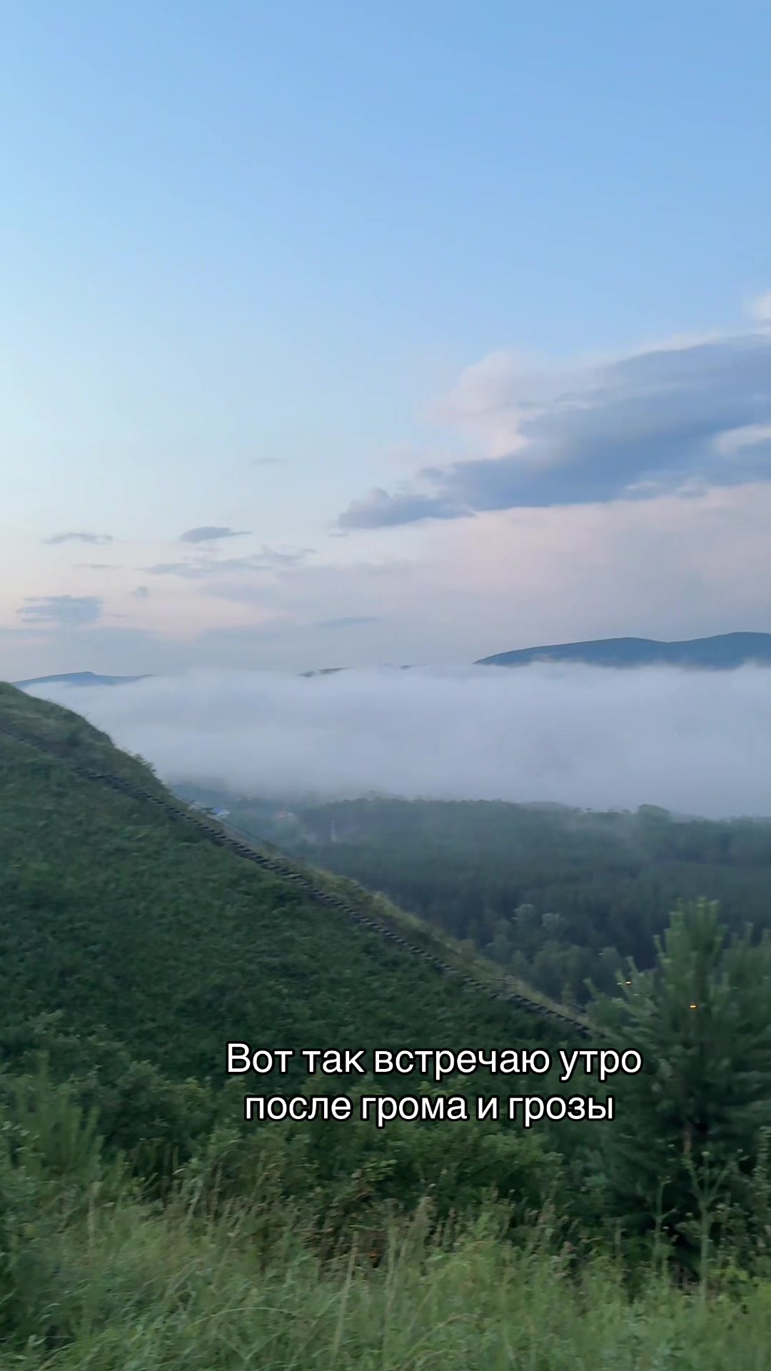 @тайбисокс