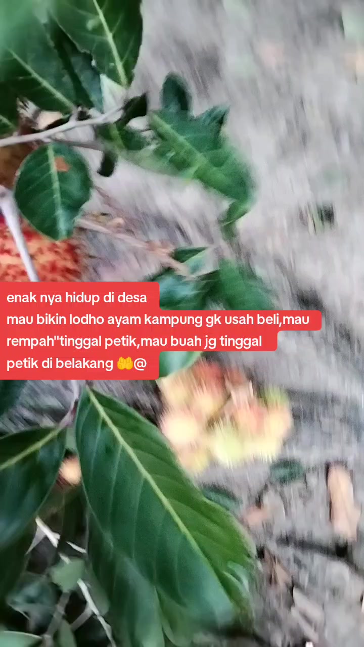 @Bu Ning kediri