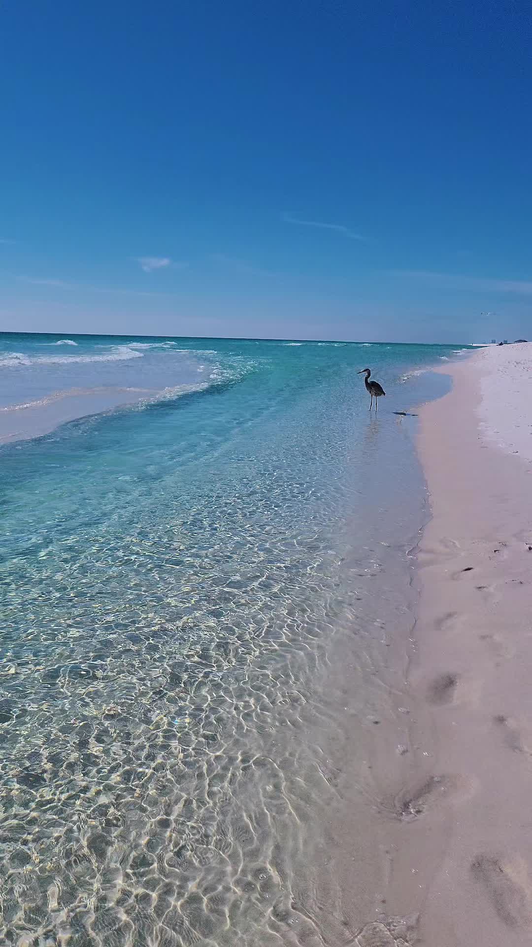@Soakupthefloridasun