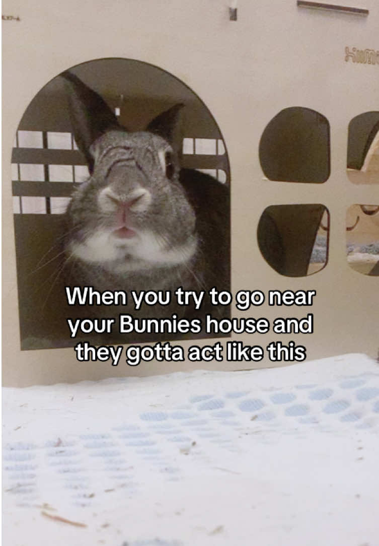 @interestinglilcreature