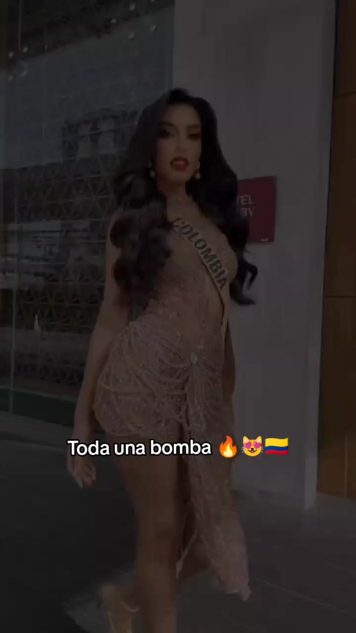 @las_top1