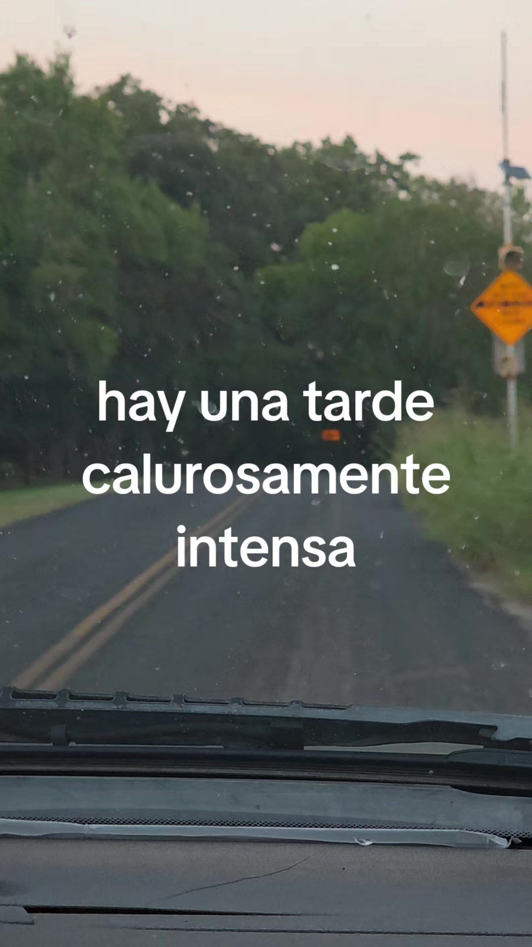 @Monica Vasval