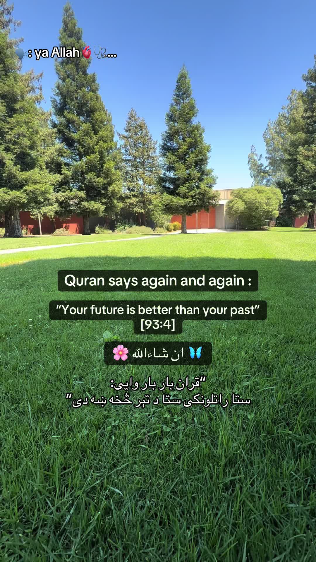 @👑🩺~Jannat~🤍🦋🇺🇸