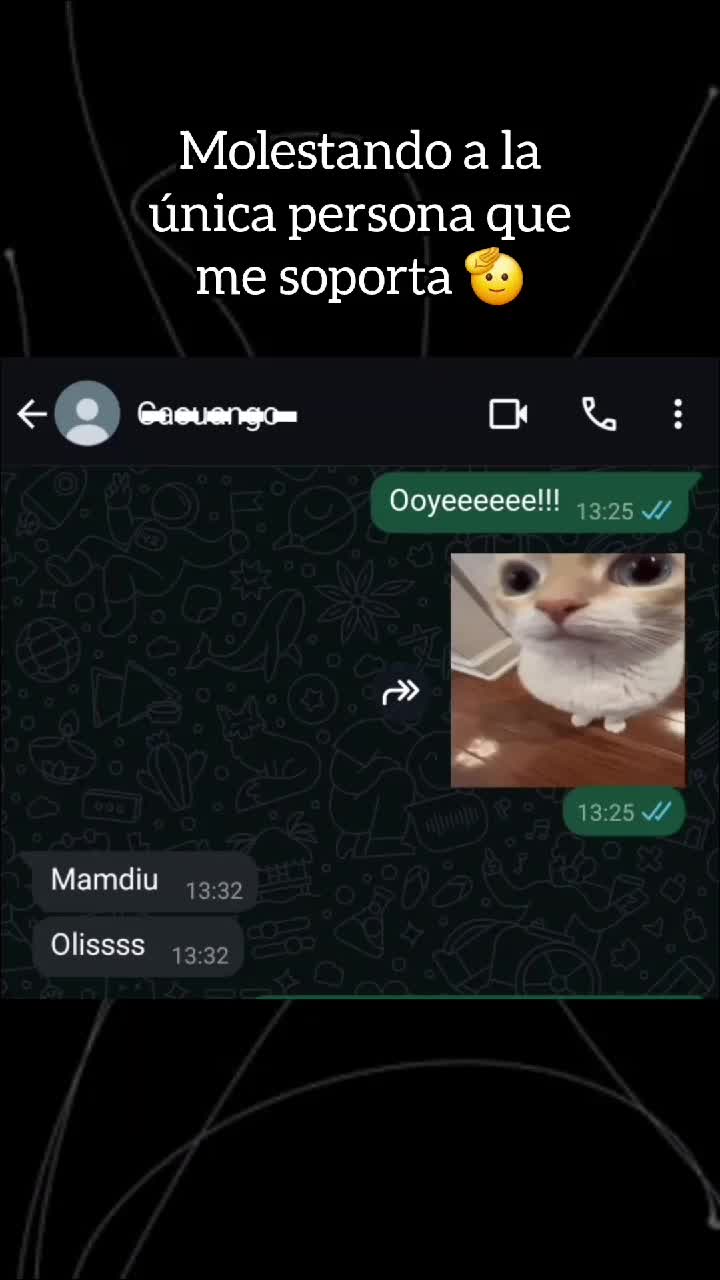 @Mauro
