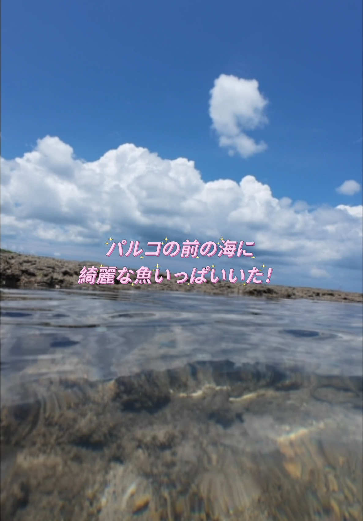 @shu vlog-しゅうたび【旅×文具】