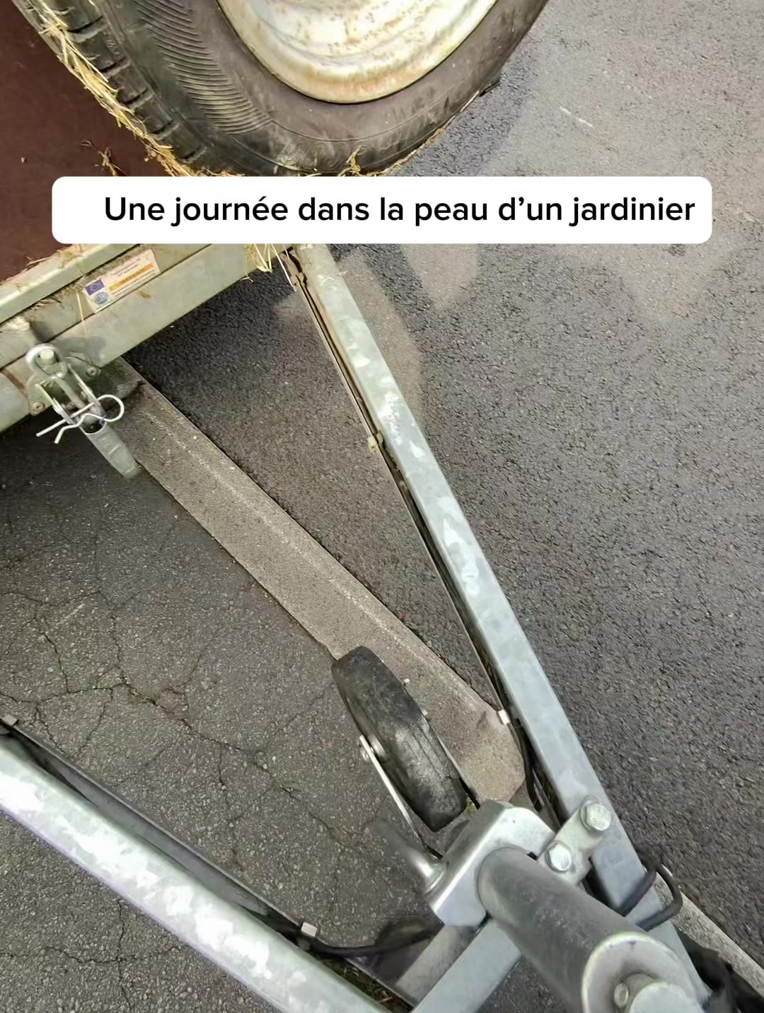 @Steve Le Jardinier