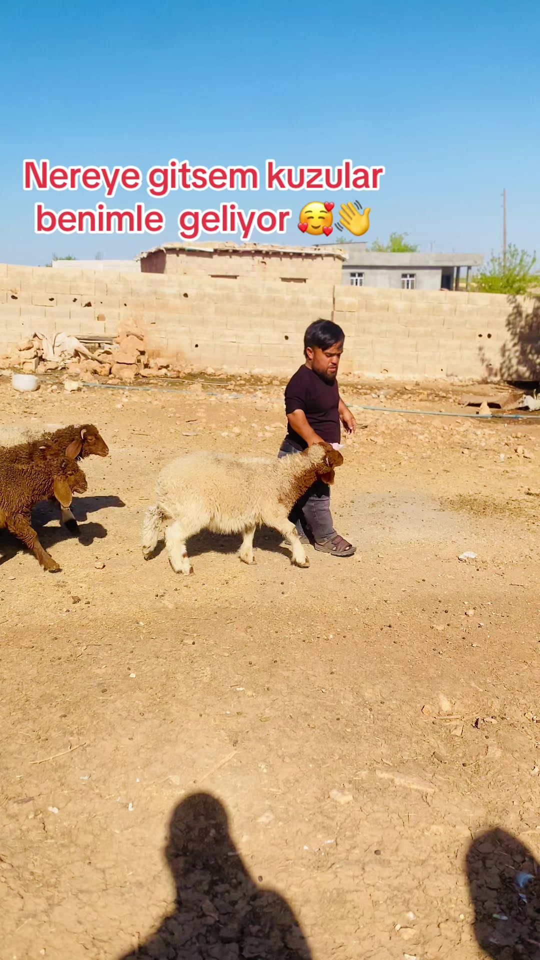 @SEDAT U&ccedil;&acirc;k|صدام العلي