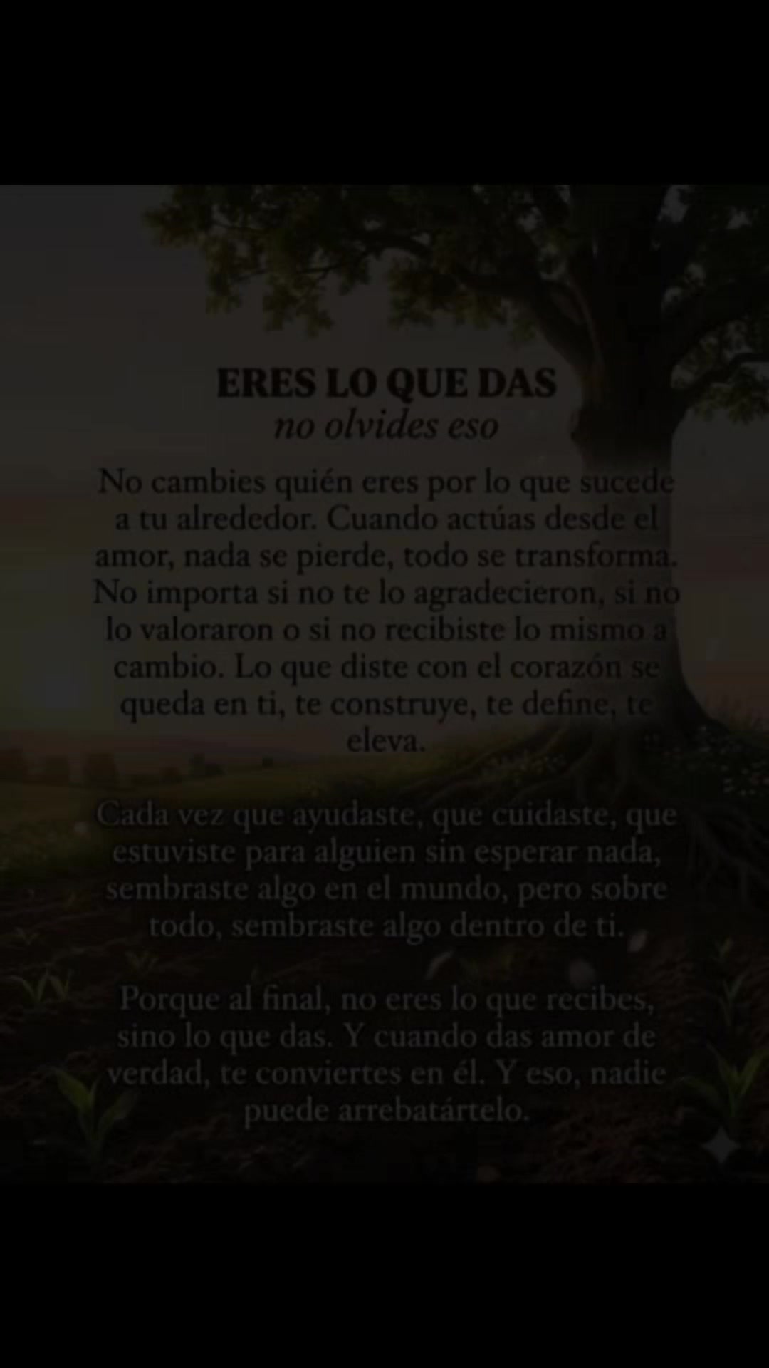@Constantina Meza