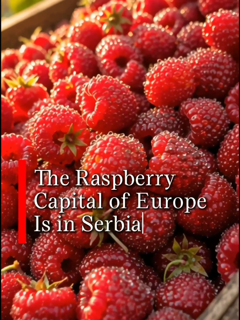 @serbia. actually