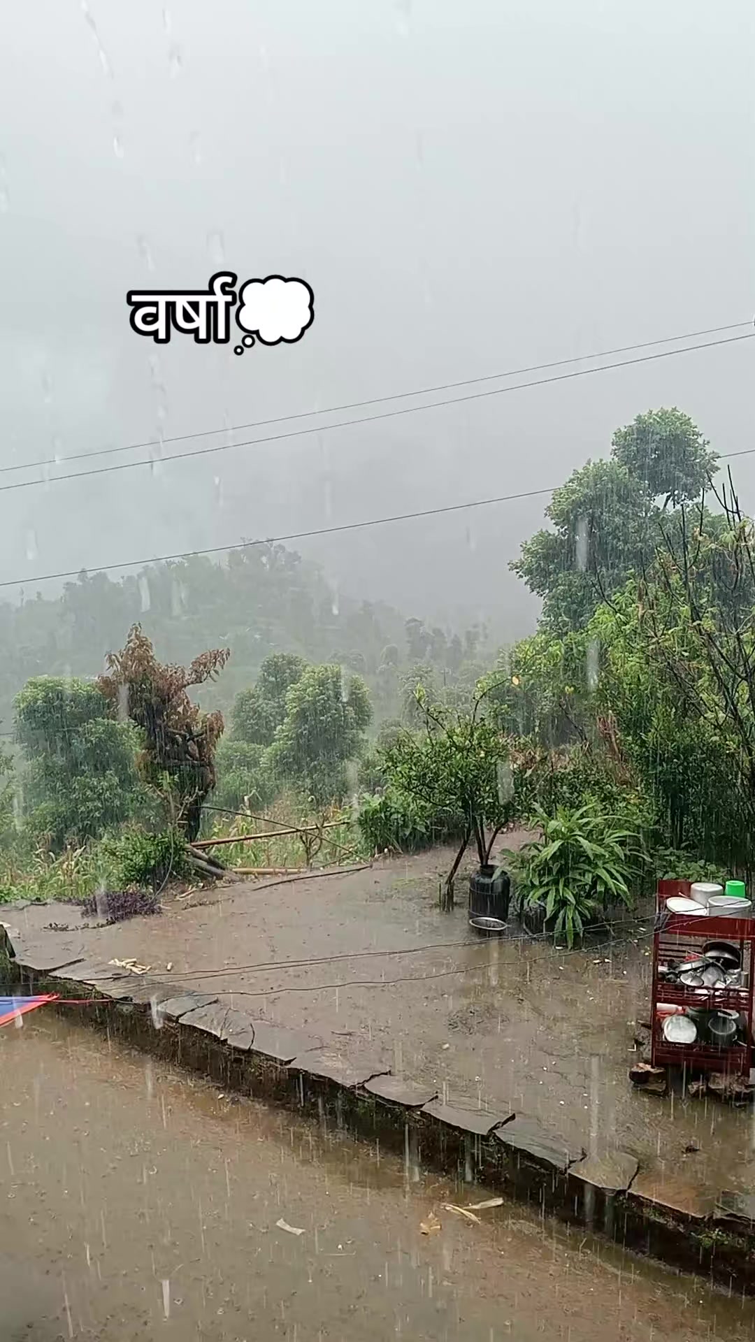 @बस्नेत काजी👨💻🇳🇵🇳🇵
