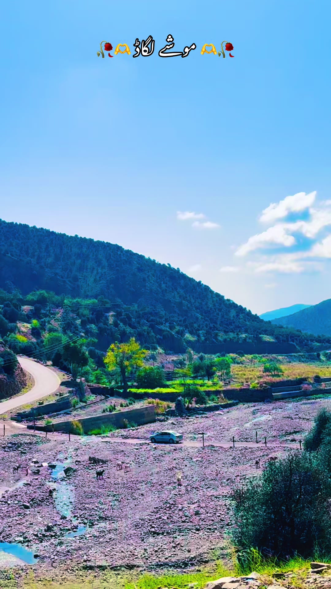 @𝐒𝐡𝐞𝐫 𝐁𝐚𝐝𝐬𝐡𝐚𝐡 🌿