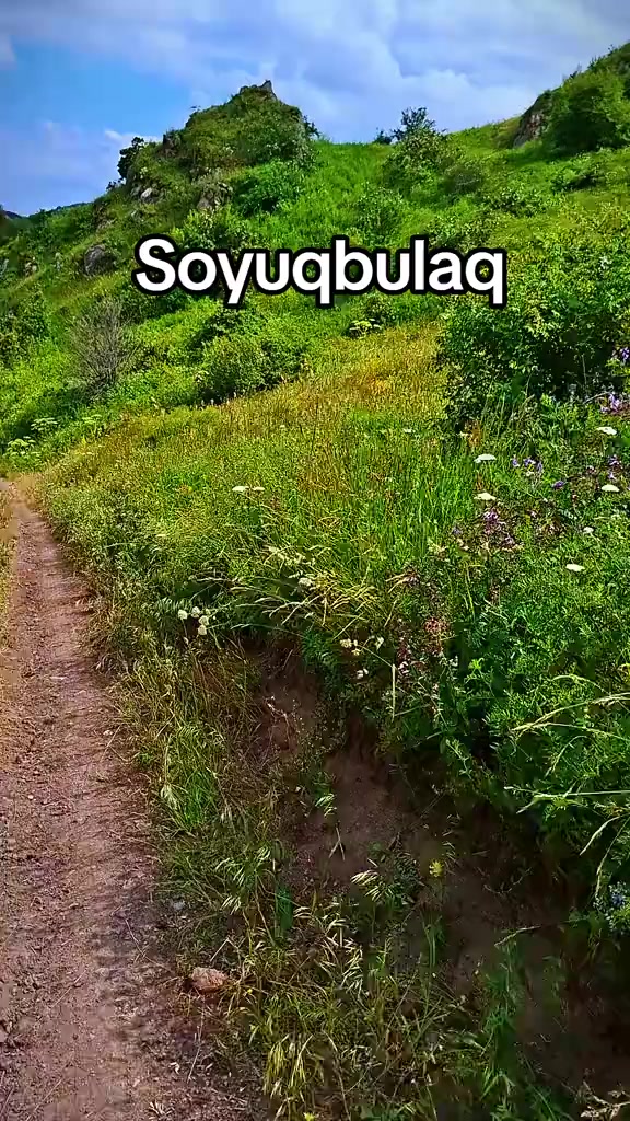 @Niyameddin La&ccedil;ınlı041