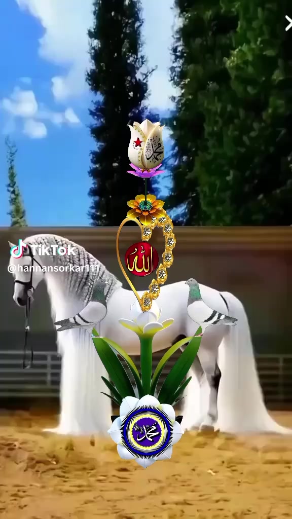 @Sabontuu Arsii😘❤️😘
