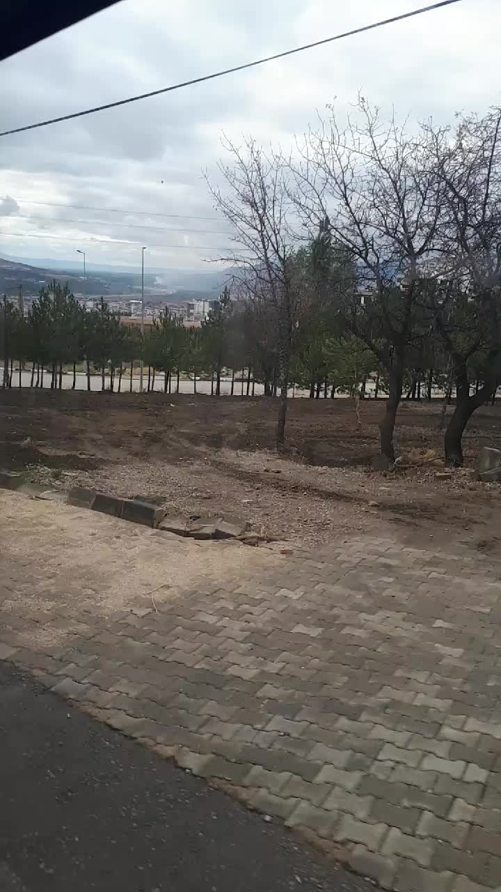 @saadet