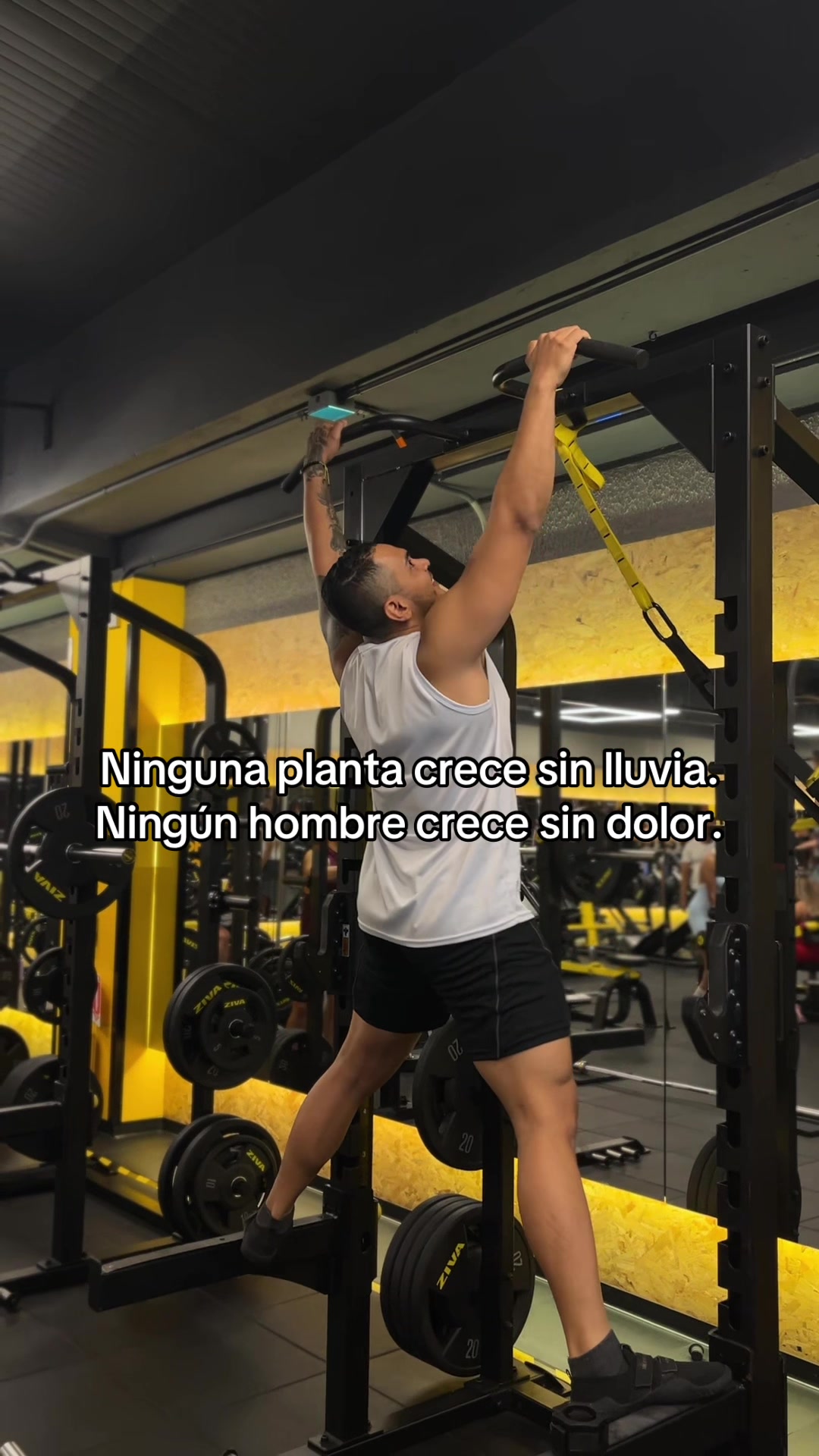 @wiltrainerfit