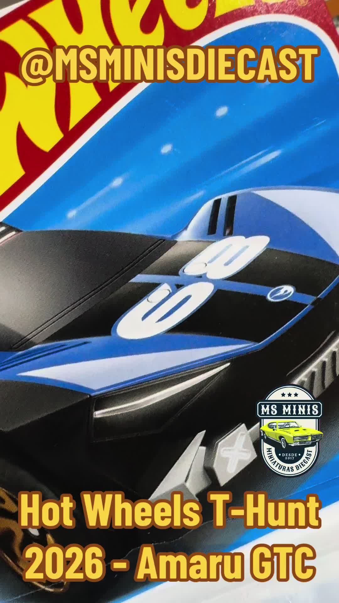 @MS MINIATURAS