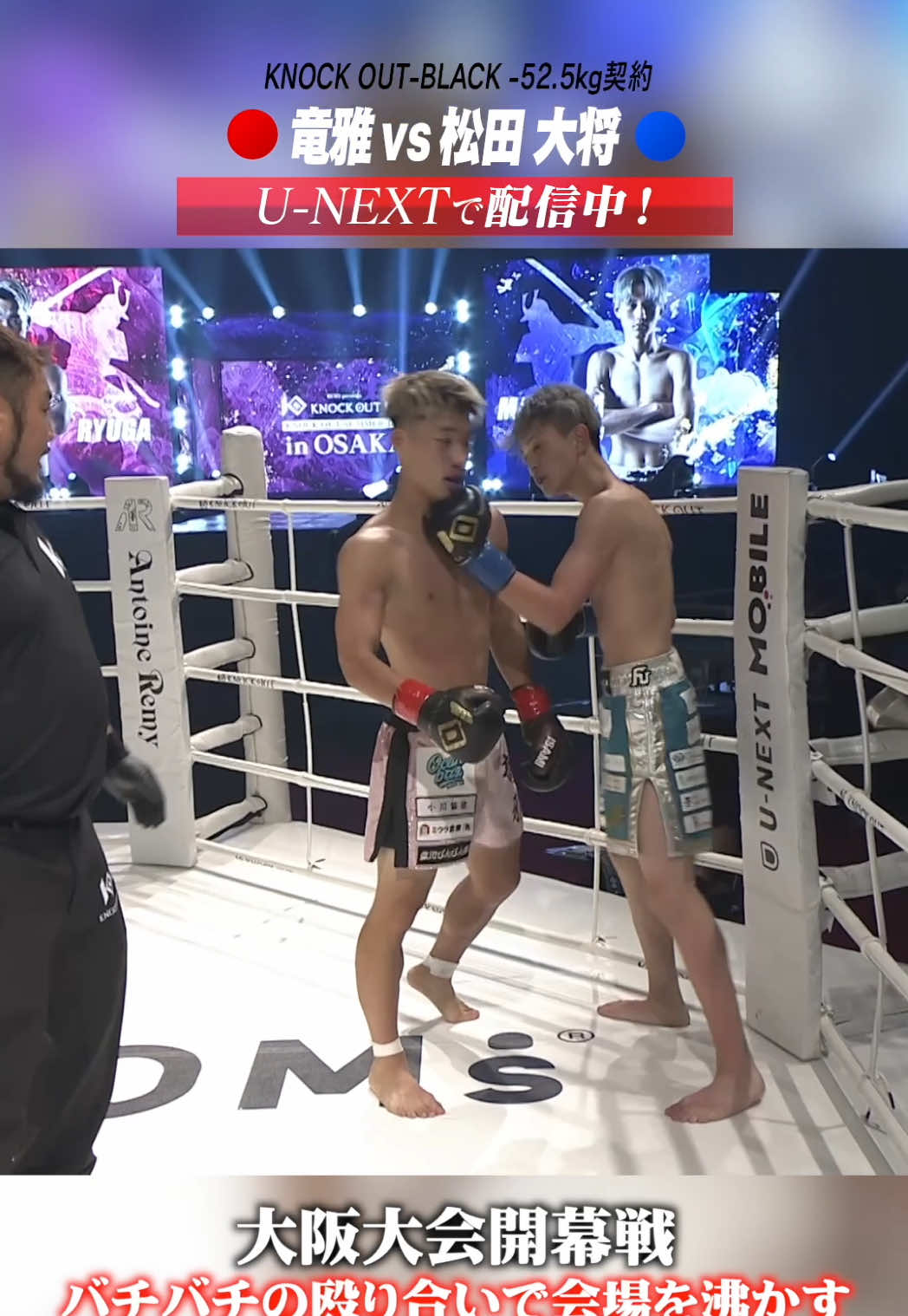 @KNOCK OUT(ノックアウト)公式