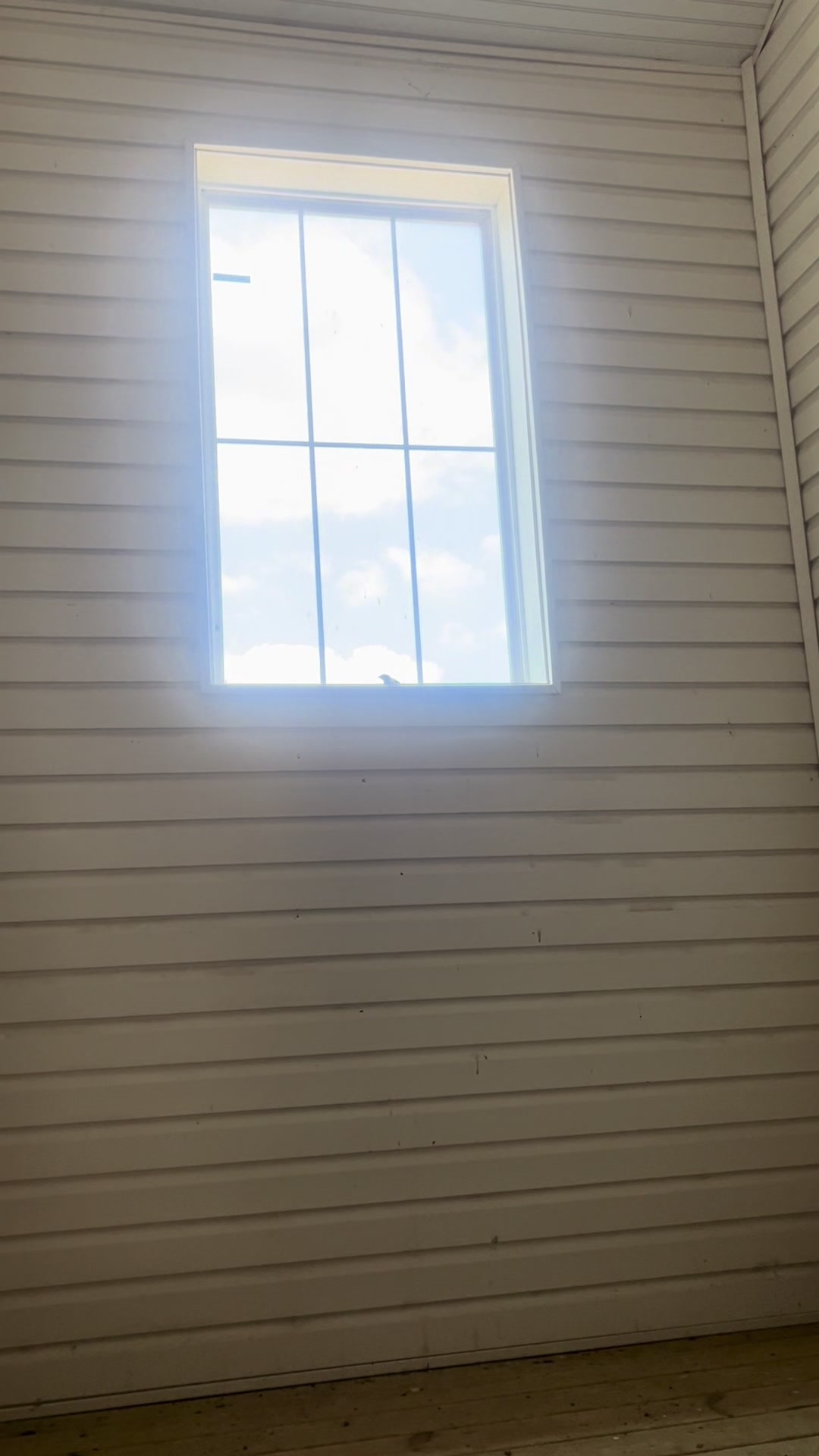 @Raindrop