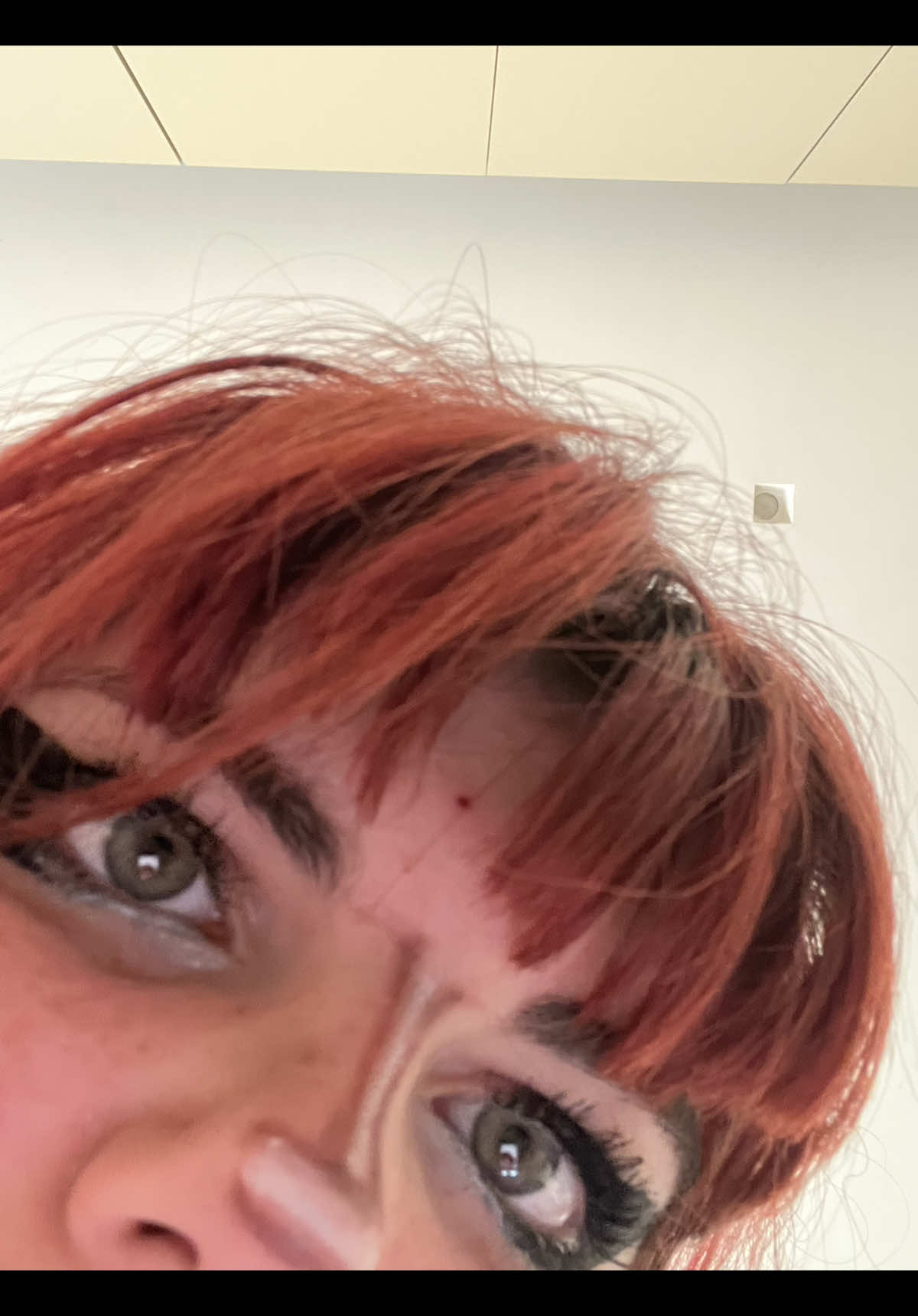 @🕷️