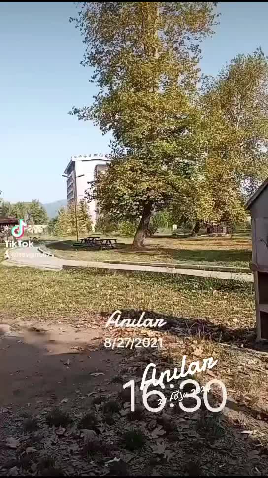 @Mustafa hatıl