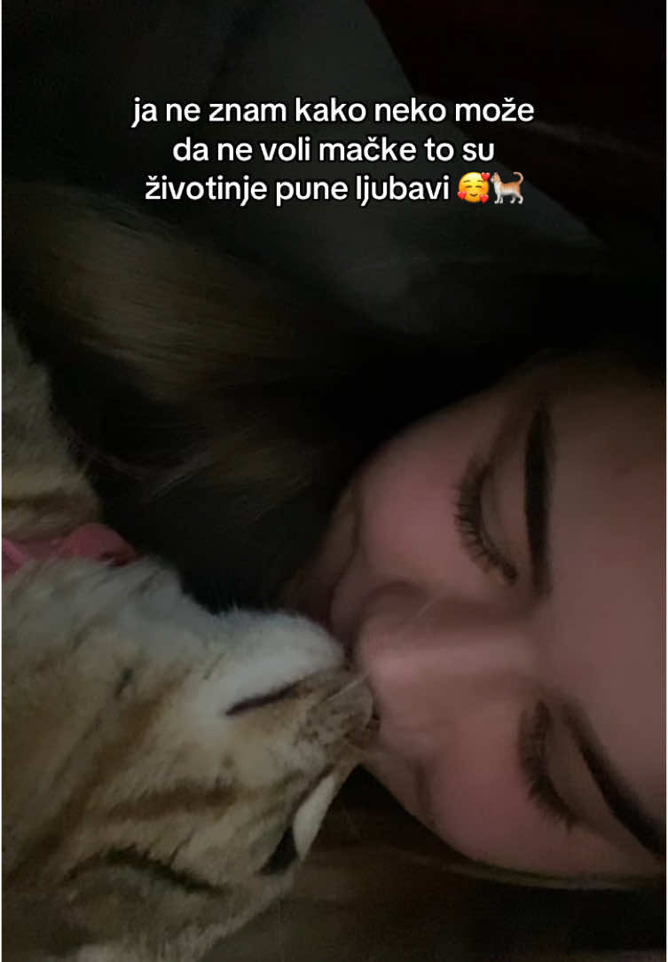 @angelinaarandjelovic