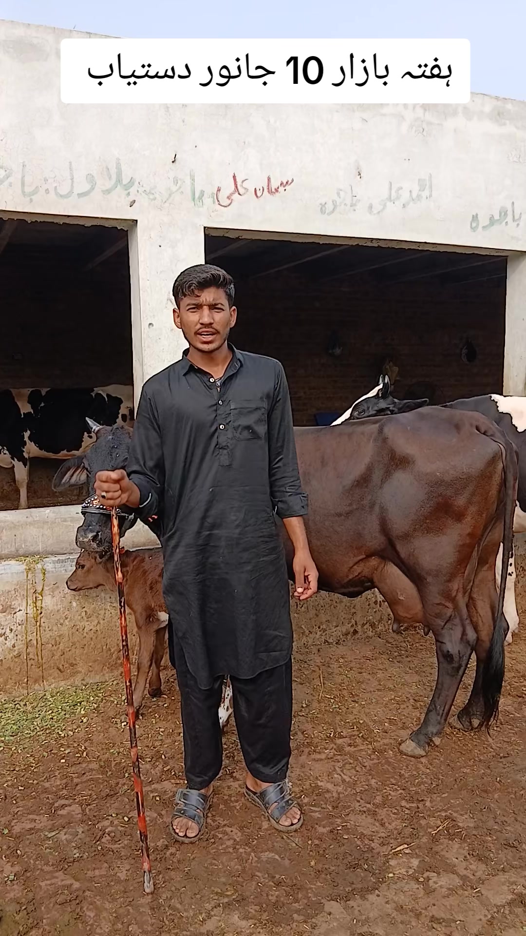 @Farming and Business Ideas