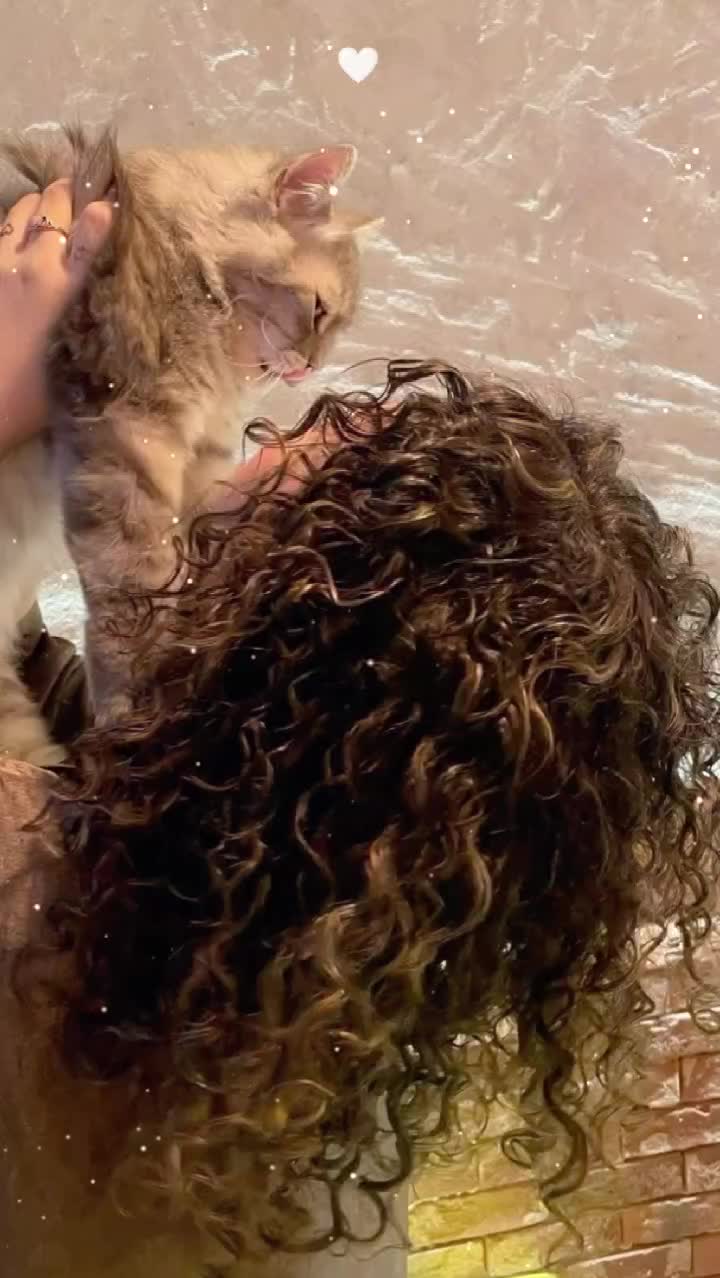 @Kartalice_01_