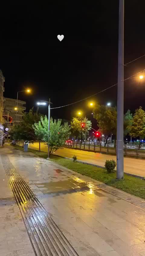 @Su_ayd1225