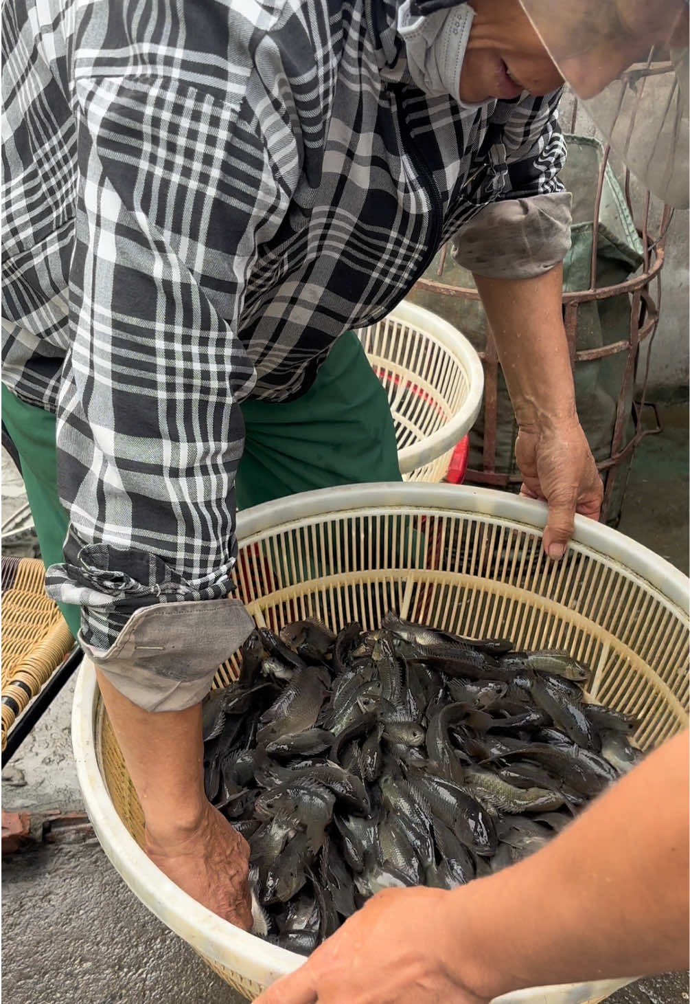 @Trại Cá Giống Quang Lâm