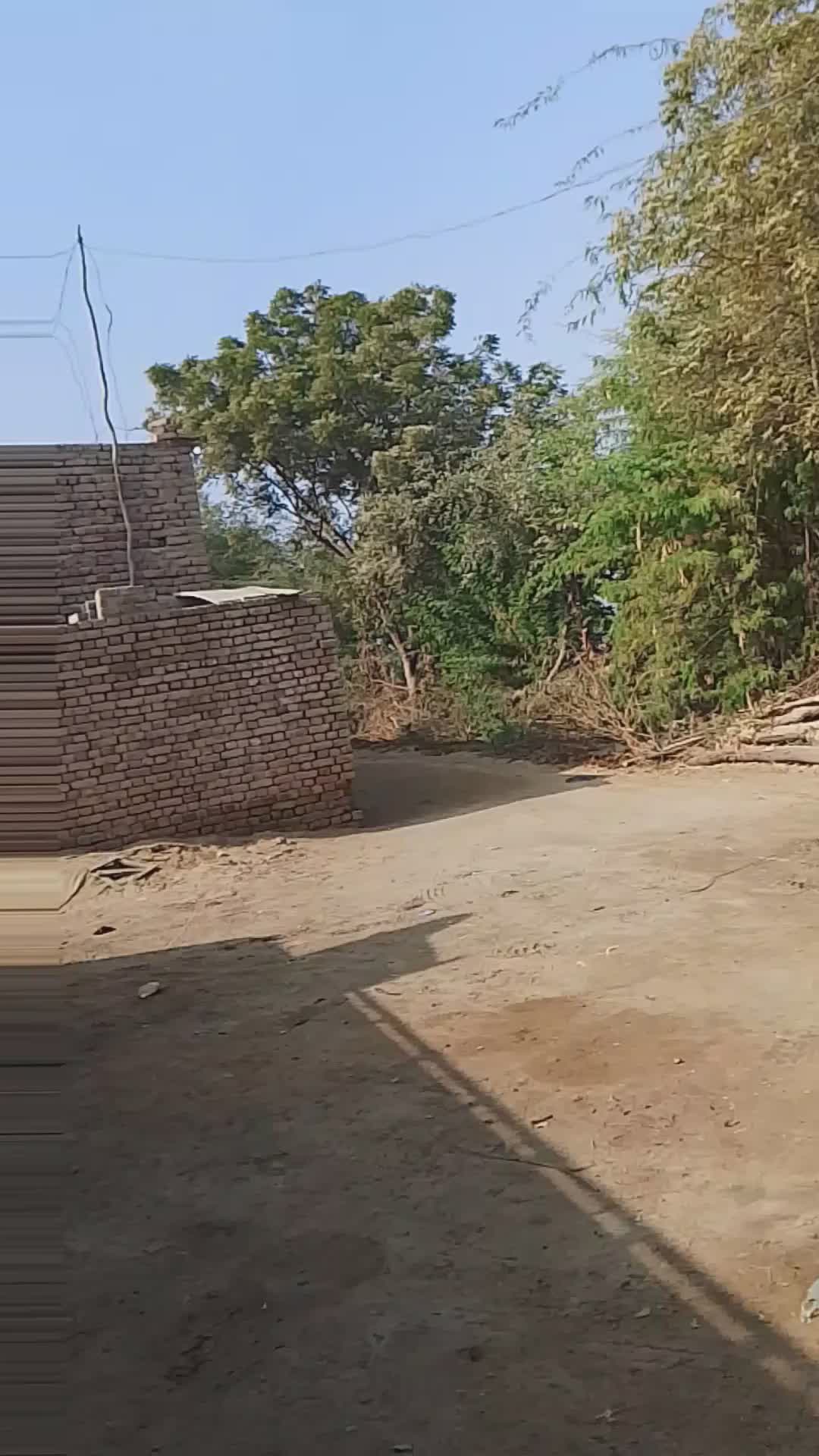 @Asif jakhrani🧿
