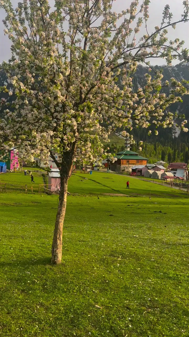 @Neelum Vista Tourism