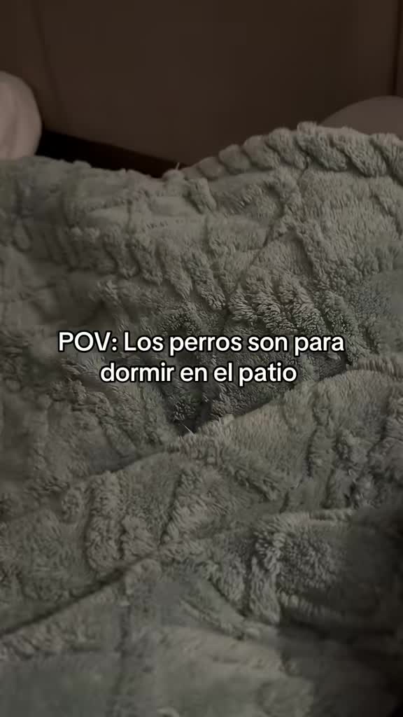 @Alexa&elcarnalchiss