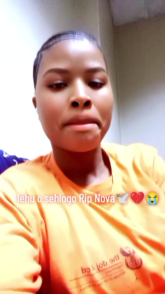 @Mokaba