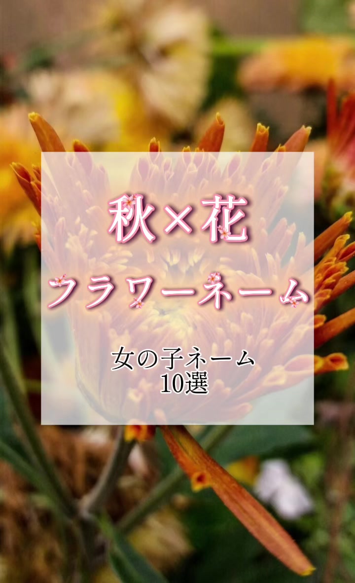 @素敵な名前の贈り物