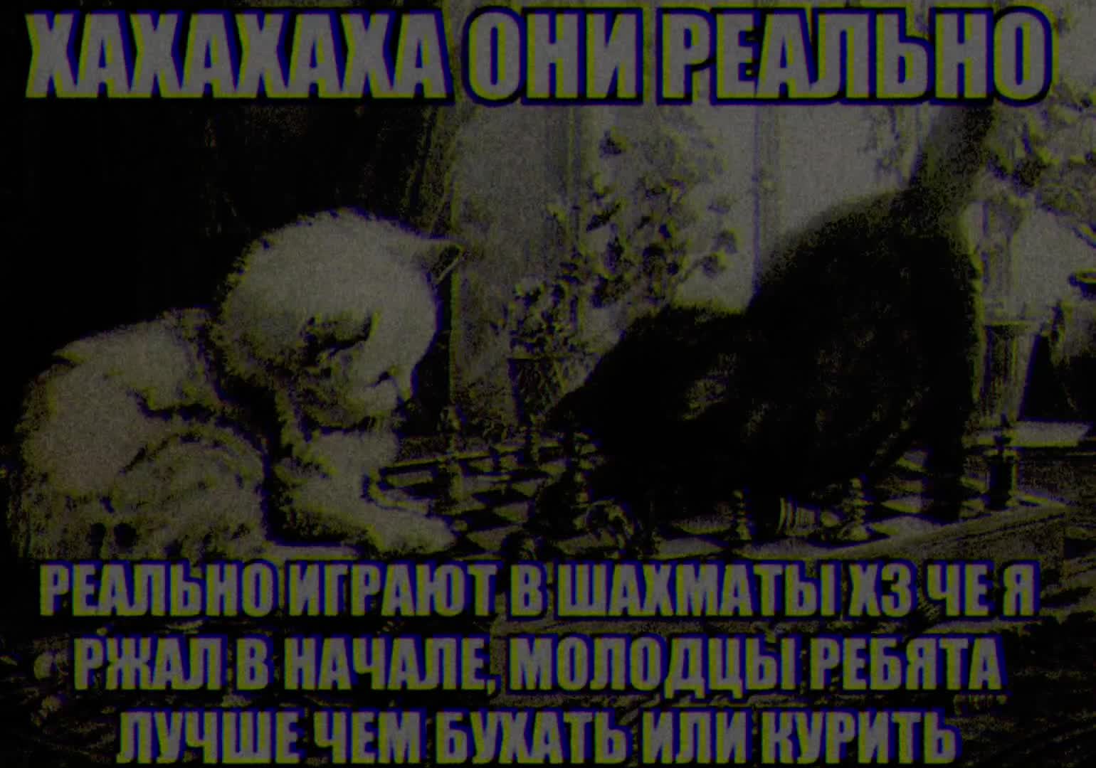 @w8h8