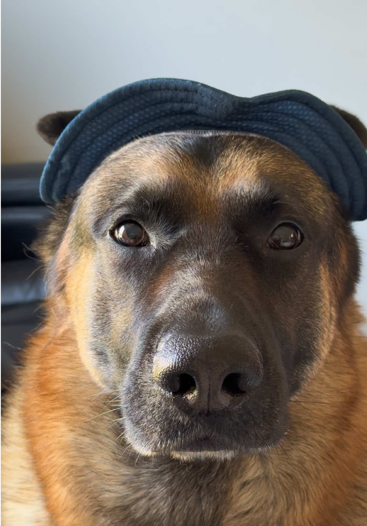 @Martygsd