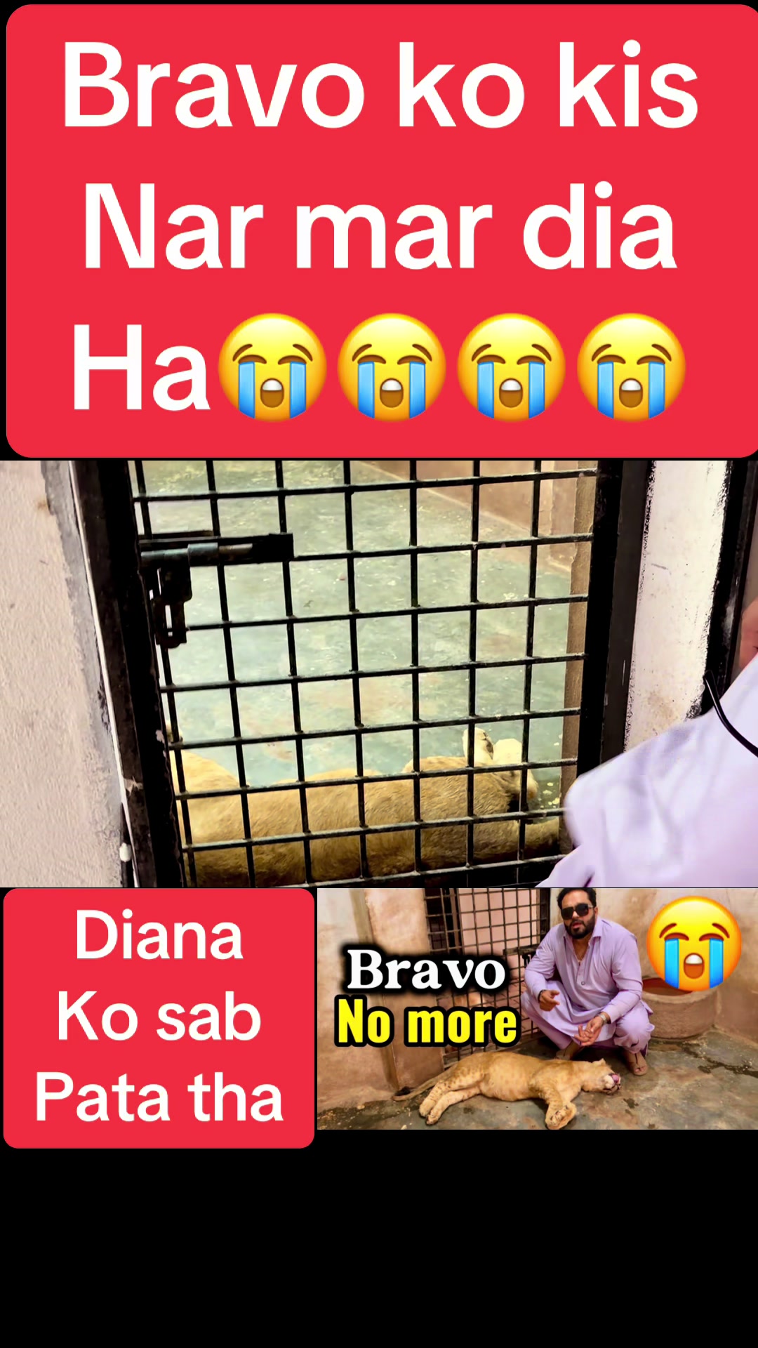 @Mian saqib