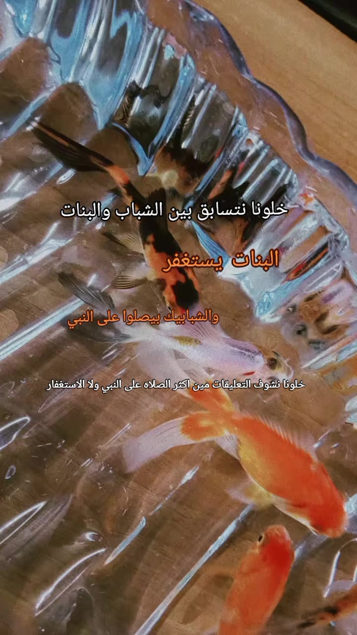 @𝒜𝒾𝒹𝒶