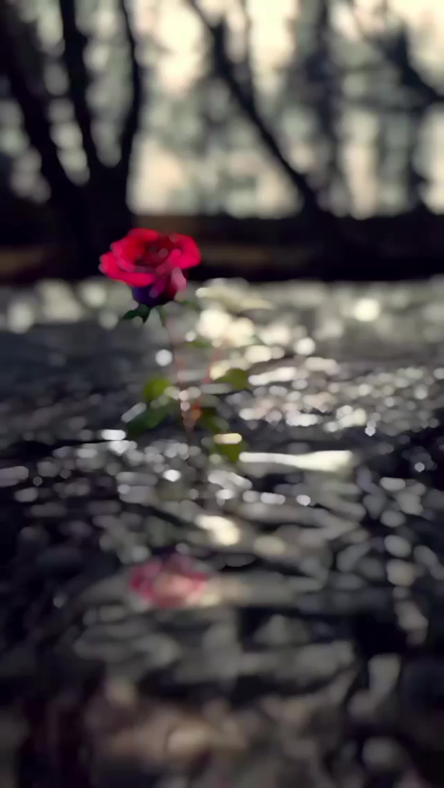 @Naaz _ Editz 🌸