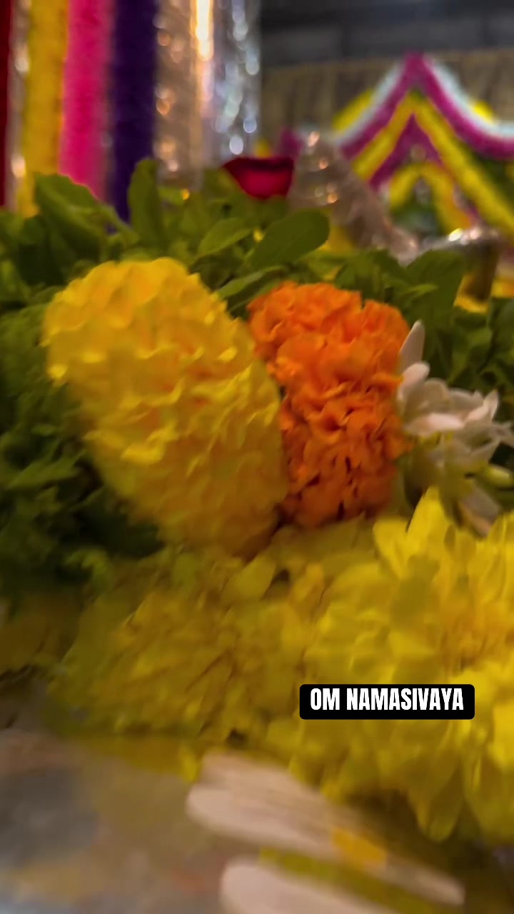 @๐๏ธ Om Namasivaya ๐๏ธ