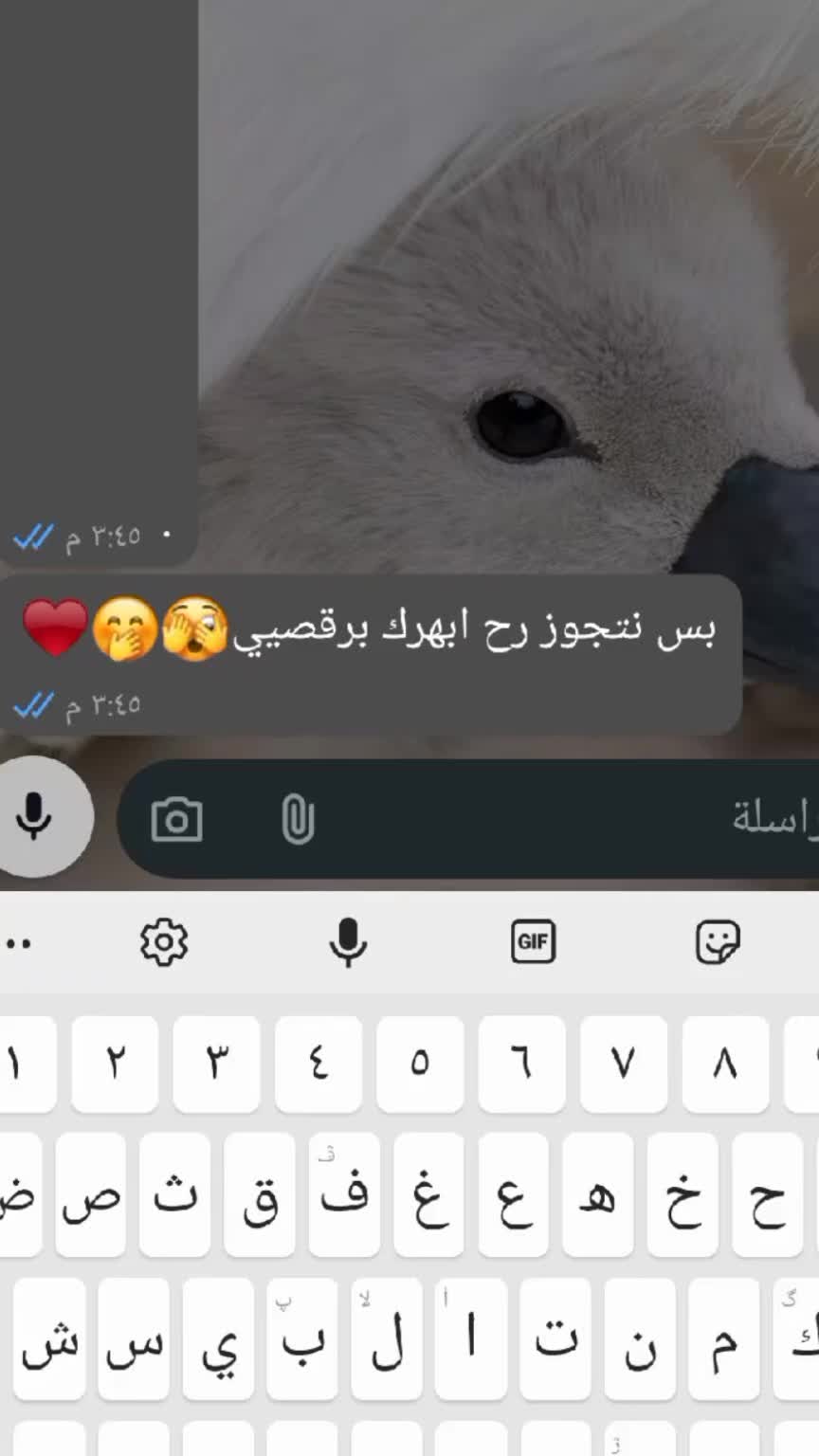 @مـ⃪⃪ݪامح حݪـب⃪⃪يۃة🖤