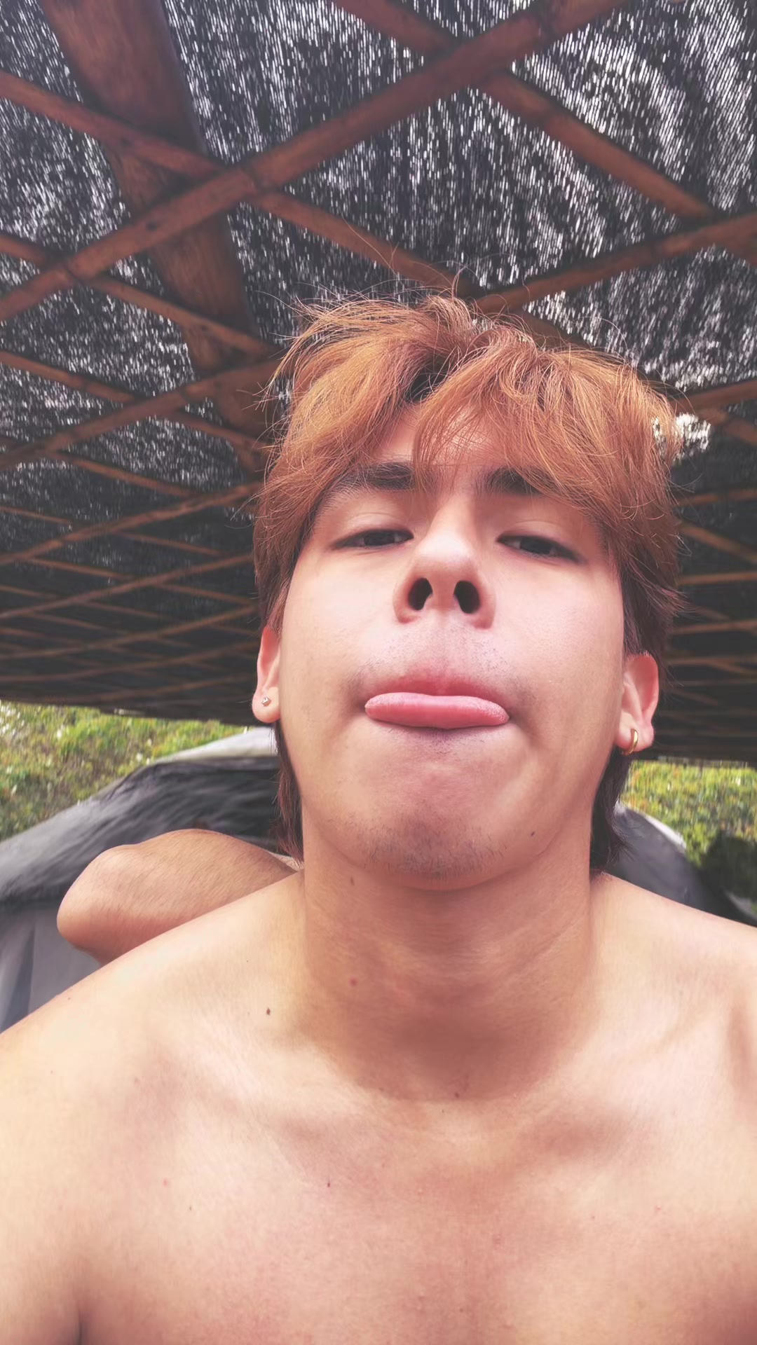 @darwinmiau