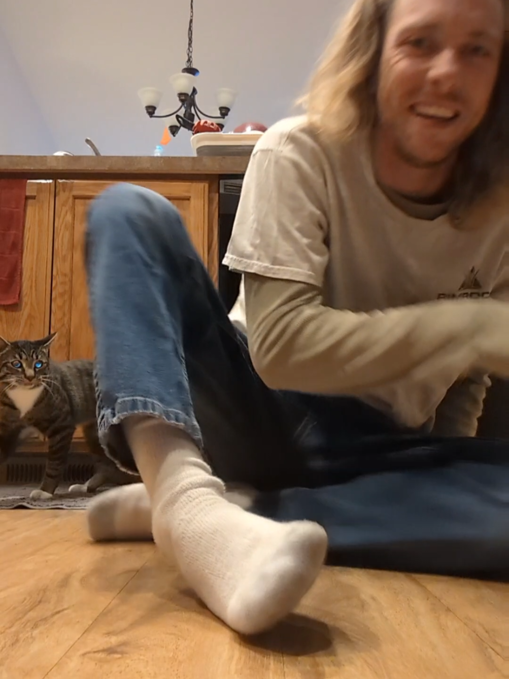 @Rainy the Cat